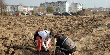 Kulturhauptstadt mit Urban Gardening