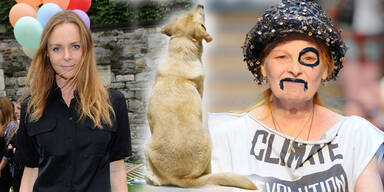 McCartney, Westwood und Co designen für Hunde