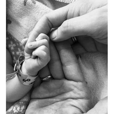 Das Jahr der Austro-Promis 2015