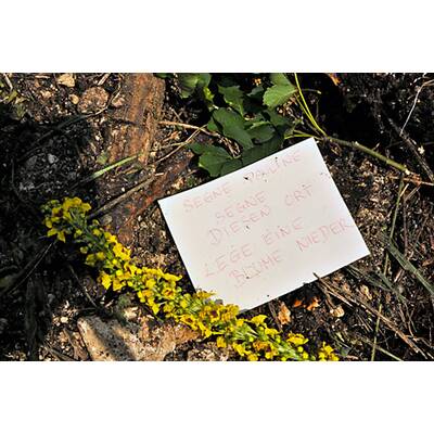 Haus des Stiefvaters