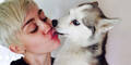 Miley Cyrus traurert um Hund Floyd