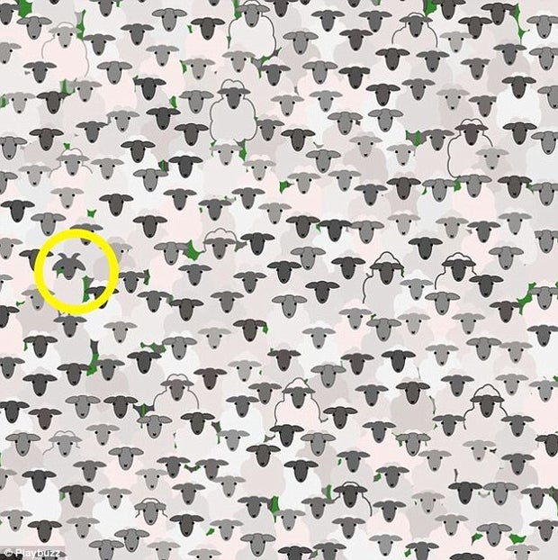 Rätsel: Wo versteckt sich die Ziege?