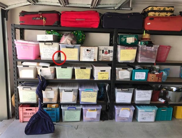 Auf diesem Foto lauert ein tödlicher Jäger