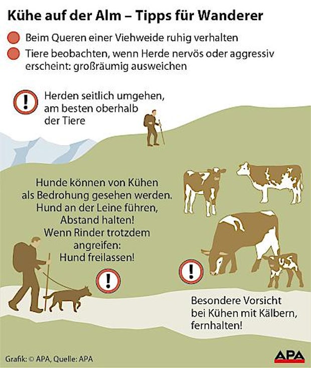 Das sind die 10 neuen Regeln für Almbesucher