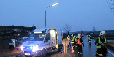 Alkolenker entwurzelte Baum bei B50