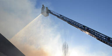 16 Stiere tot bei Brand auf Bauernhof