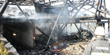 3.400 Hühner bei Brand getötet