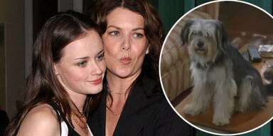 Alexis Bledel, Lauren Graham, Gilmore Girls