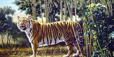 Keine Chance: Dieses R&auml;tsel l&ouml;st niemand