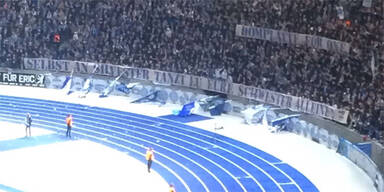 Hertha Fans
