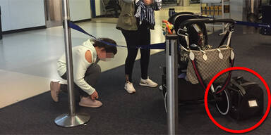 Welpe United Airlines