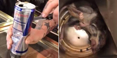 Mann findet tote Maus in Red Bull