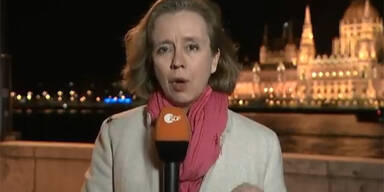 Britta Hilpert Spinne