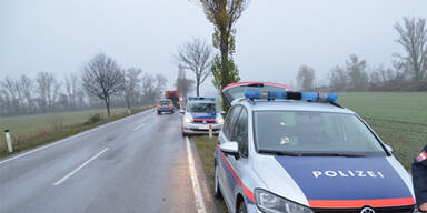 Wr. Neustadt: Angestellte wehrt Bankr&auml;uber ab