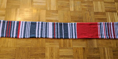 Versp&auml;tungsschal Schal Deutsche Bahn