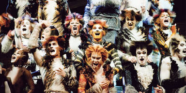 Heute startet „Cats“ im Zelt