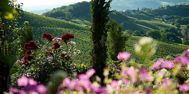 Best of Buschenschank