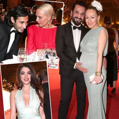 Die Stars am Wiener Filmball 2015