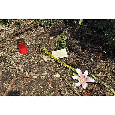 Haus des Stiefvaters