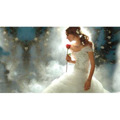 Brautkleider wie im Märchen