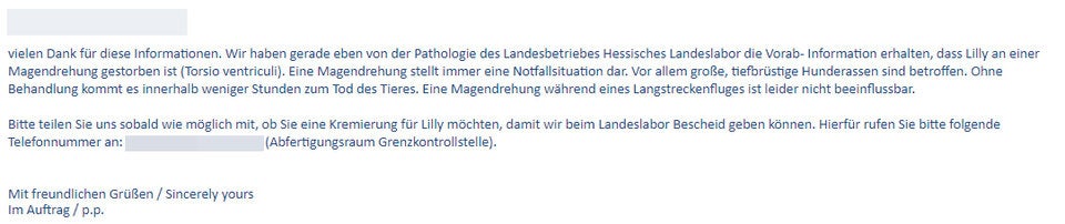 Hund während Flug gestorben: Linzerin will Antworten
