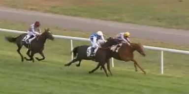 Jockey Pferderennen Pferd bei&szlig;t