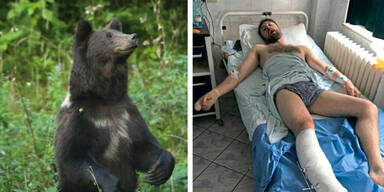 B&auml;r Andi Bauer Rum&auml;nien