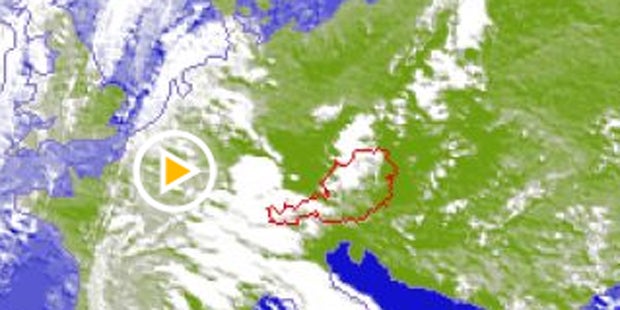 Tropen-Nacht in Österreich