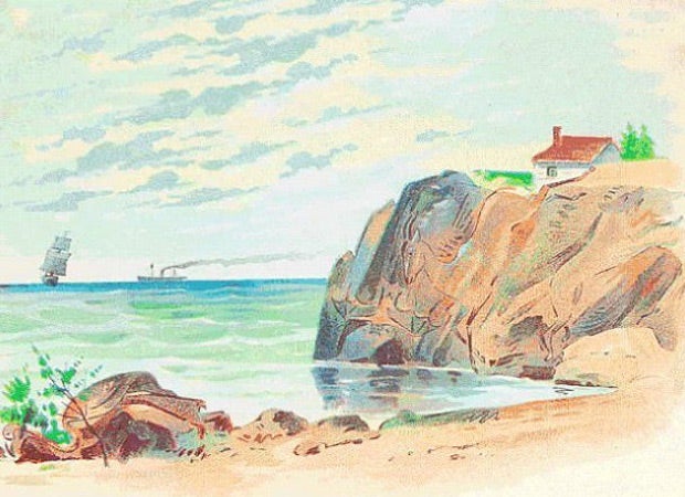 Fast niemand kann dieses Tier-Rätsel lösen