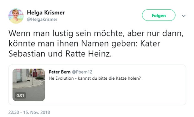 Grüne vergleicht Strache mit einer 'Ratte'