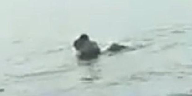 Dieser Strand-Quickie hat Folgen