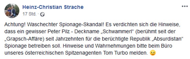 Moskau-Connection: So spottet Strache über Pilz
