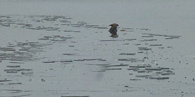 Mann (24) brach auf zugefrorenem Teich ein