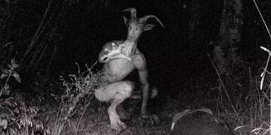 Mysteri&ouml;ser Ziegenmann versetzt Kleinstadt in Angst