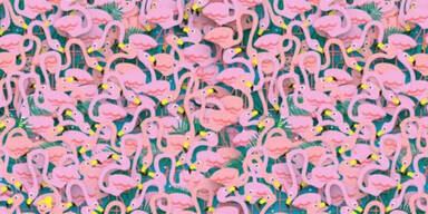 R&auml;tsel: Wo ist die tanzende Ballerina?