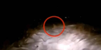 Wurde hier ein Yeti gesichtet?