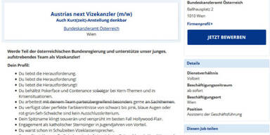 willhaben Anzeige Vizekanzler