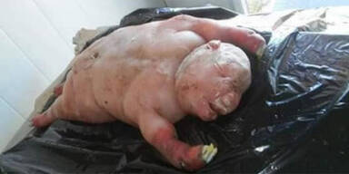 Forscher erkl&auml;ren gruselige Schaf-Mutation