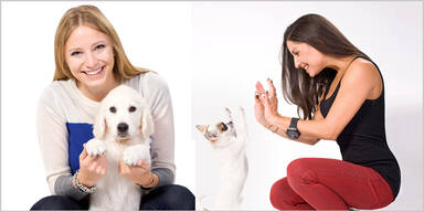 So ticken unsere Lieblinge