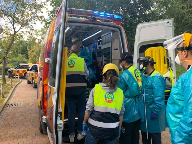 Gorilla attackiert Pflegerin im Zoo von Madrid