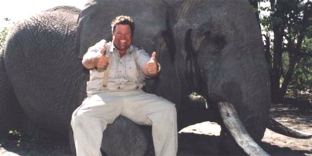 Nackter Mann reitet einen toten Hai