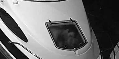 Dreistes P&auml;rchen hat Sex auf einem fremden Boot