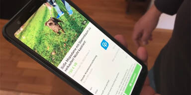 Weiter &Auml;rger um Mops-Pf&auml;ndung in Deutschland