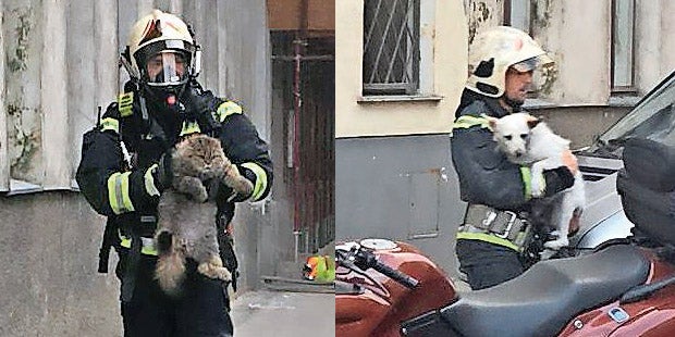 Brand Erlachgasse Wien Favoriten