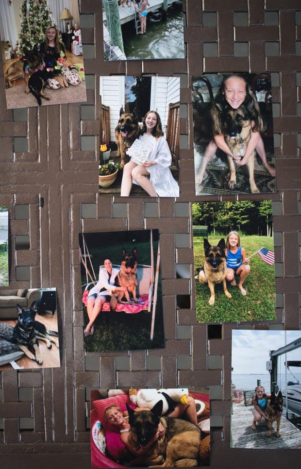 Erster infizierter Hund stirbt an Corona