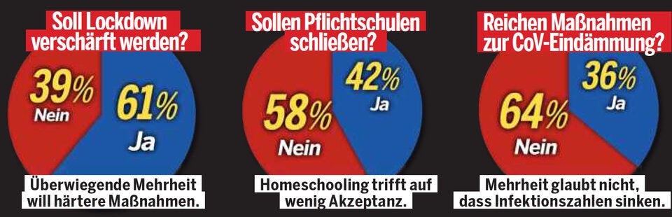 ÖSTERREICH-Umfrage: FPÖ ''putzt'' Grüne