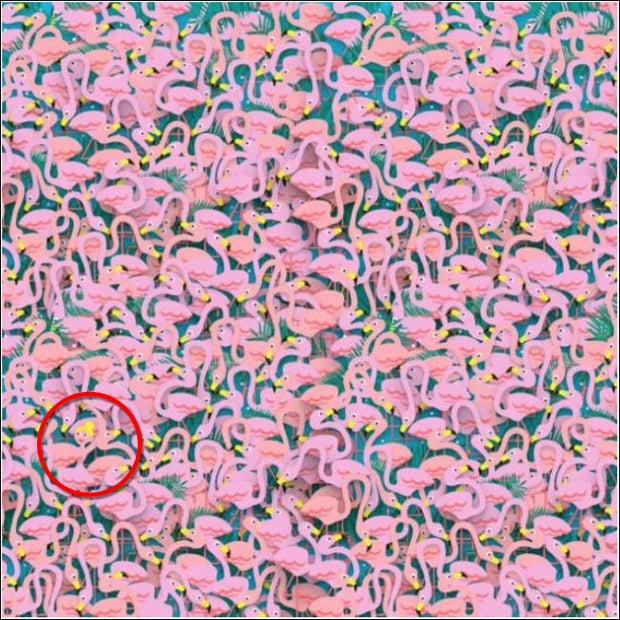 Rätsel: Wo ist die tanzende Ballerina?