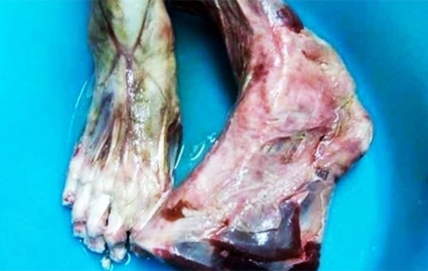 China-Restaurant soll Menschenfüße servieren