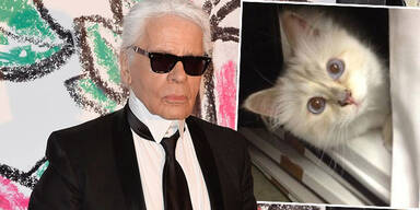 Karl Lagerfeld, Choupette