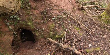 Bauer entdeckt ein Loch &ndash; was er dort findet ist unglaublich
